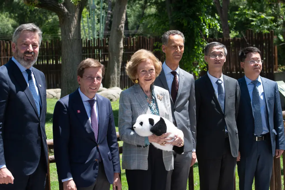 El director del Zoo de Madrid, Ricardo Esteban, el alcalde de Madrid, José Luis Martínez-Almeida, la reina Sofía, el consejero delegado del grupo Parques Reunidos, Pascal Ferracci, y el embajador de la República Popular de China, Yao Jing, asisten al acto de presentación de los dos nuevos pandas del Zoo de Madrid.