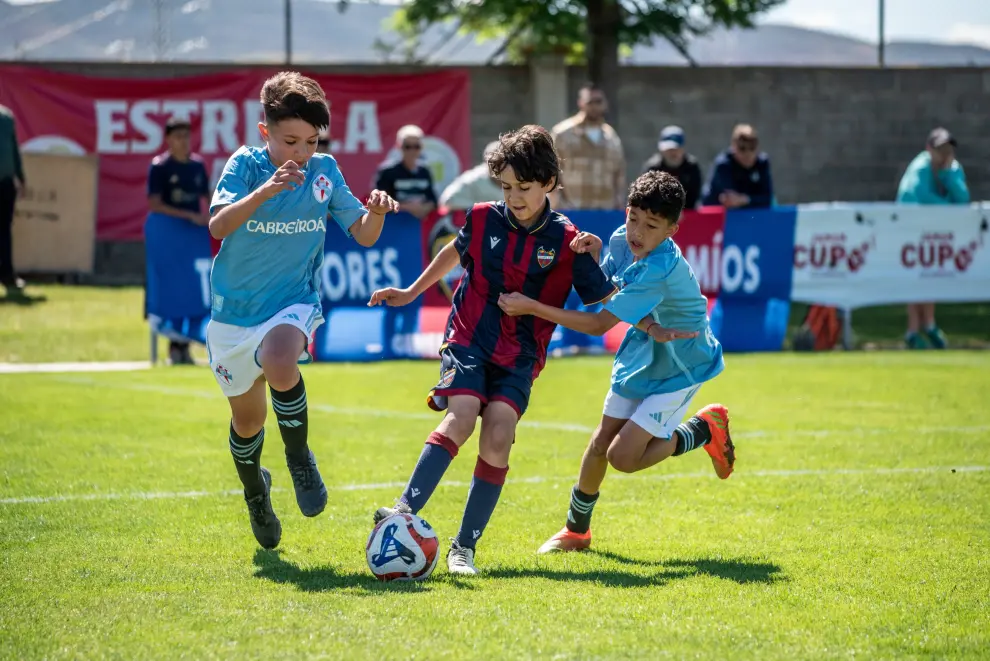 Fotos de la edición 2024 de la Jamón Cup.