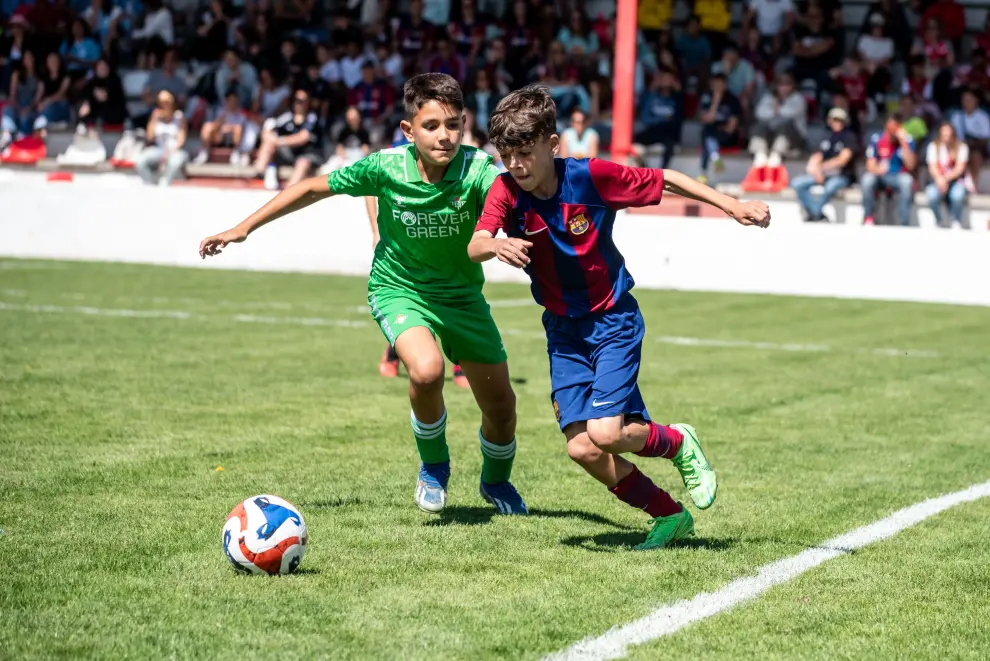 Fotos de la edición 2024 de la Jamón Cup.