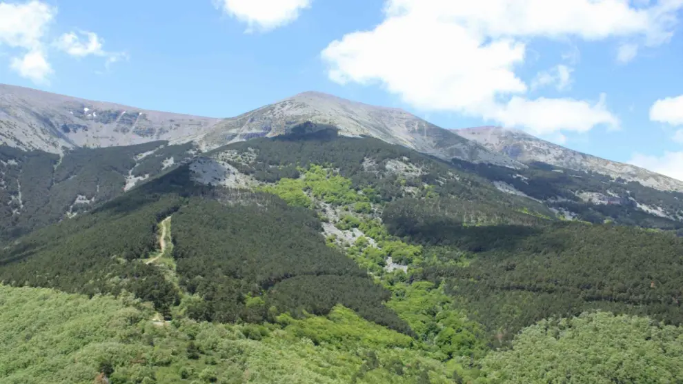 Vistas del Moncayo desde el Cabezo de la Mata