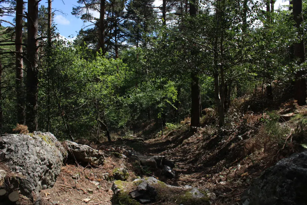 Ruta al Cabezo de la Mata, en el Parque Natural del Moncayo