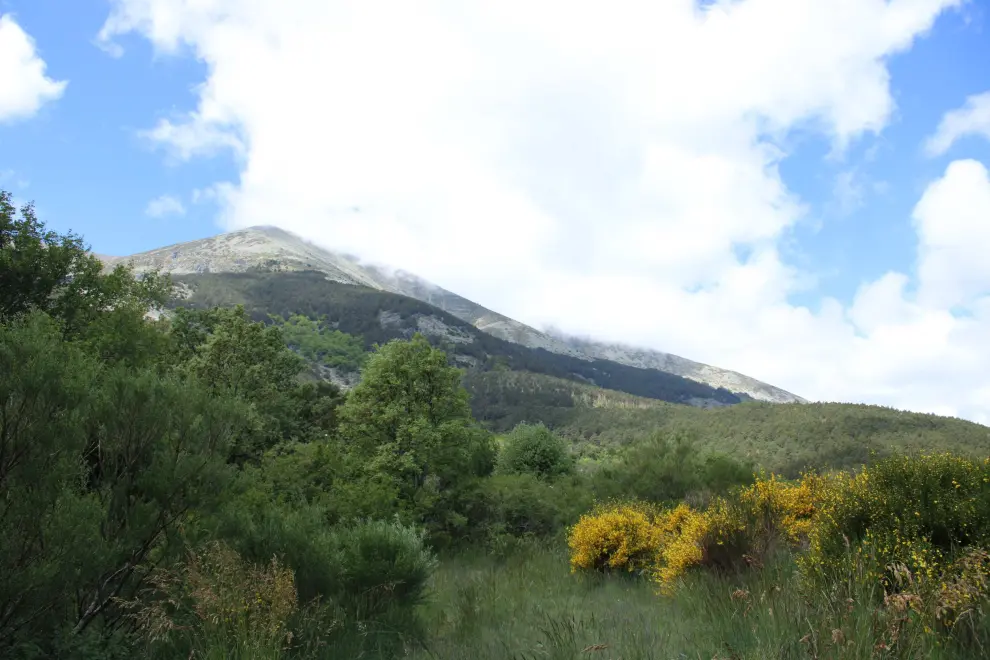 Vista del Moncayo desde el Cabezo de la Mata