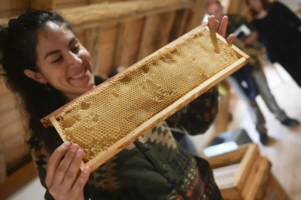 Azpe García dirige 'A Redolada', un proyecto de apicultura y educación ambiental en Artosilla, uno de los 'repoblados' del valle de la Guarguera.