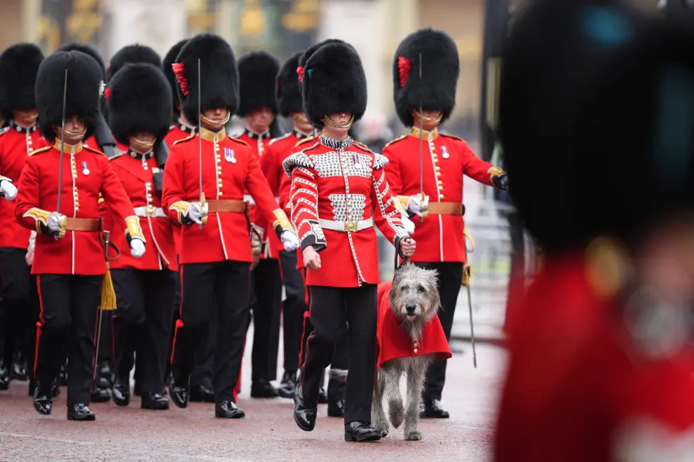 Reaparece Kate Middleton: imágenes del desfile militar que celebra el cumpleaños oficial del rey Carlos III