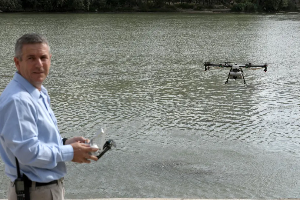 Tratamiento con drones contra la mosca negra en el Ebro.