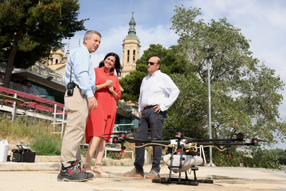 Tratamiento con drones contra la mosca negra en el Ebro.