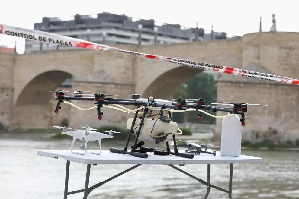 Tratamiento con drones contra la mosca negra en el Ebro.