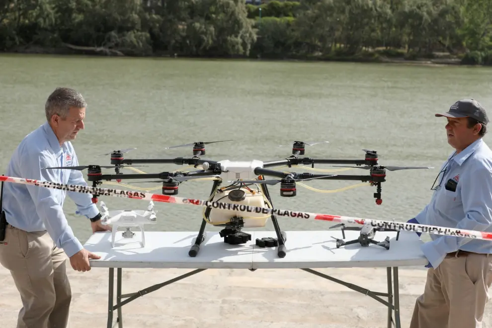 Tratamiento con drones contra la mosca negra en el Ebro.