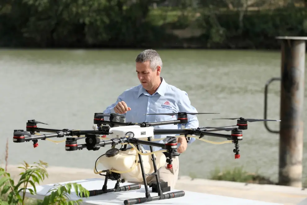 Tratamiento con drones contra la mosca negra en el Ebro.