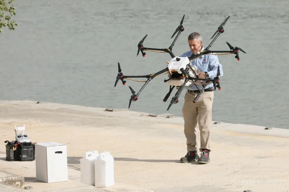 Tratamiento con drones contra la mosca negra en el Ebro.