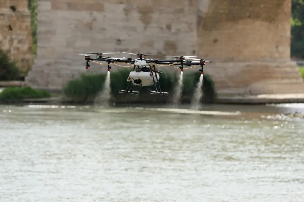 Tratamiento con drones contra la mosca negra en el Ebro.