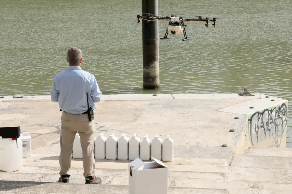 Tratamiento con drones contra la mosca negra en el Ebro.