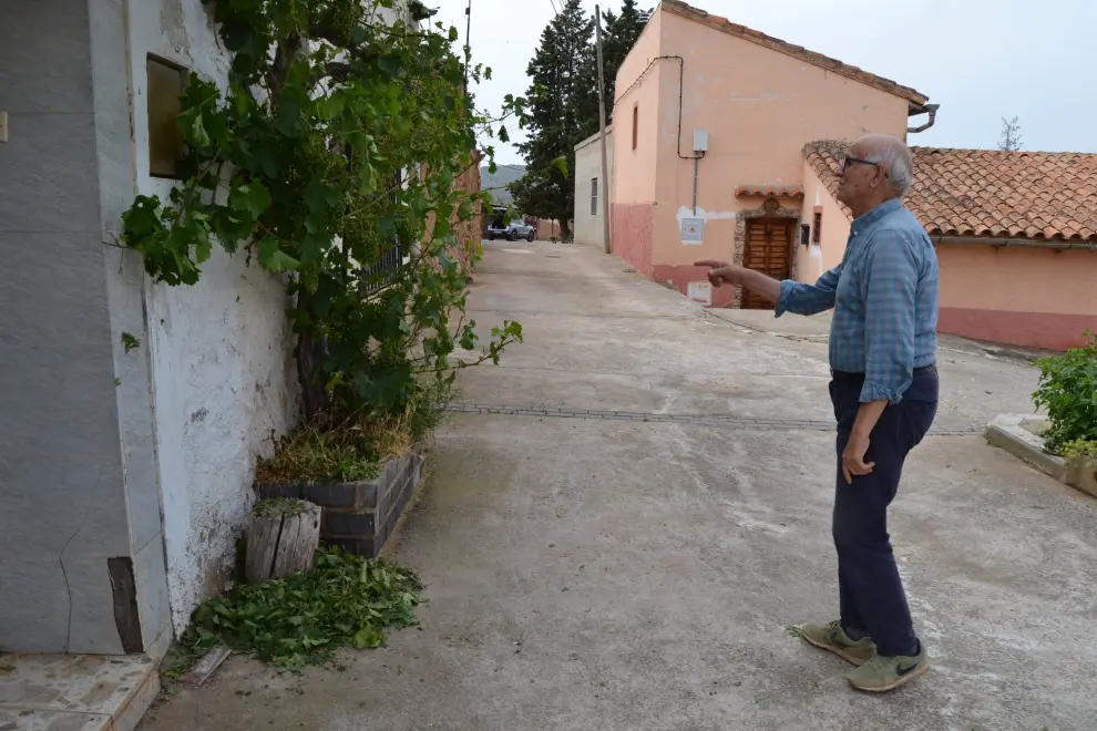 Pedro Ibáñez contempla la parra de una casa cercana