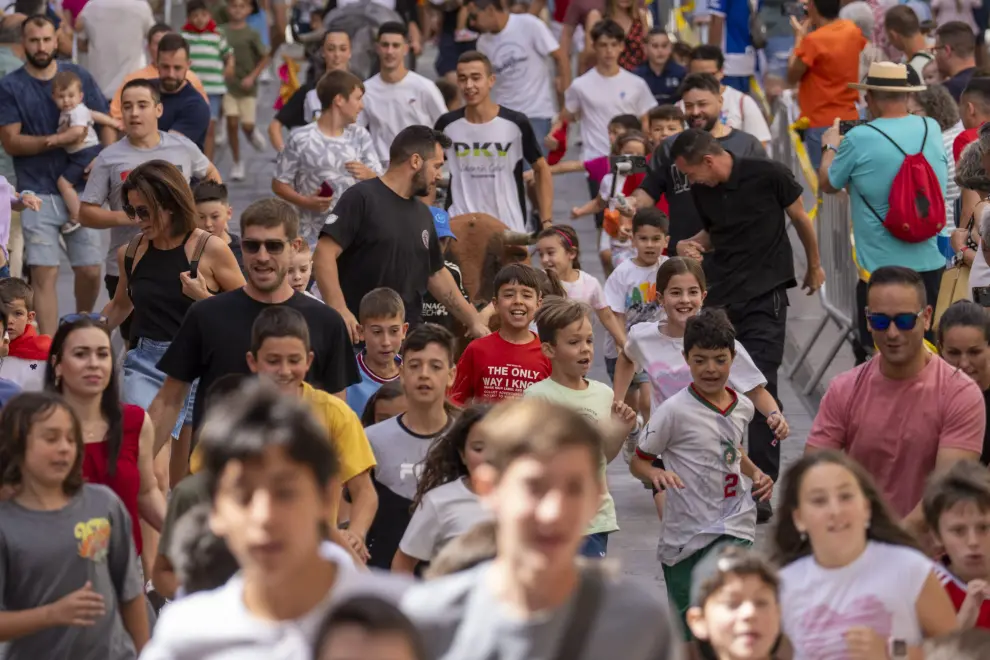 Fiestas del Ángel de Teruel 2024: encierro infantil con bueyes mansos