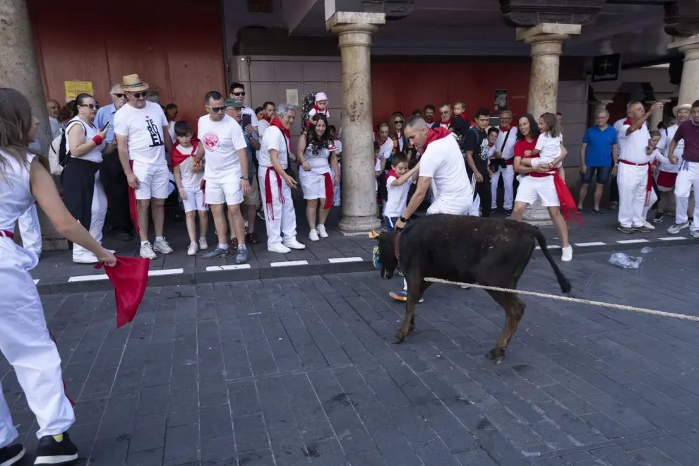 Fiestas de la Vaquilla de Teruel 2024: vaquilla infantil previa a la jornada de toros ensogados