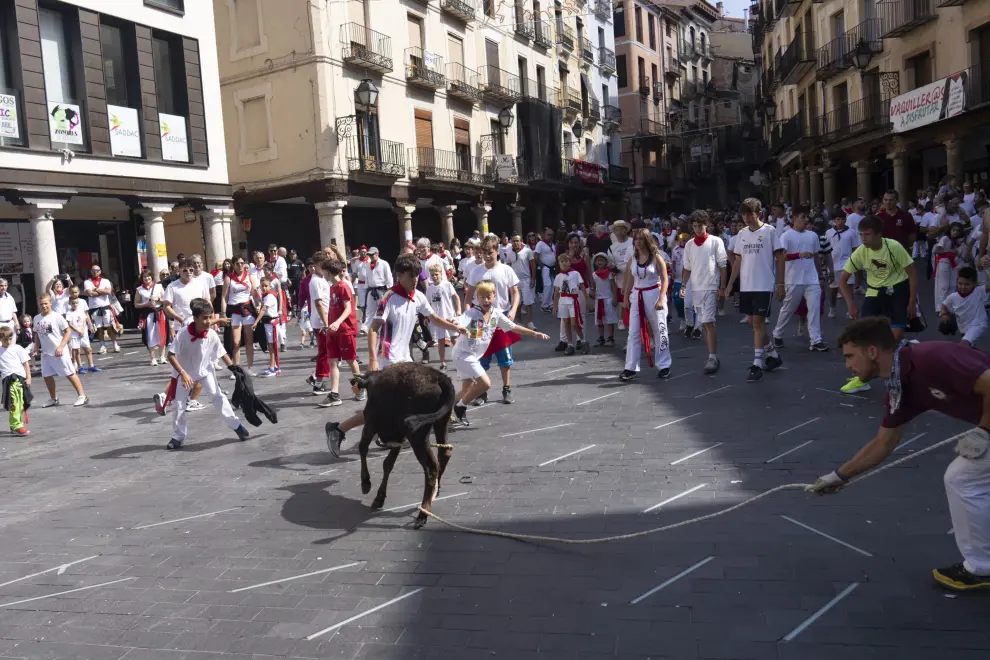 Fiestas de la Vaquilla de Teruel 2024: vaquilla infantil previa a la jornada de toros ensogados