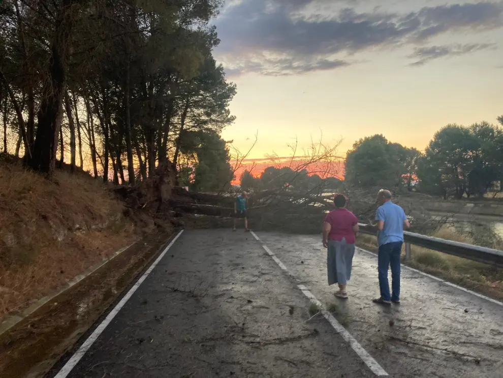 Daños por la tormenta en Alcalá de Gurrea