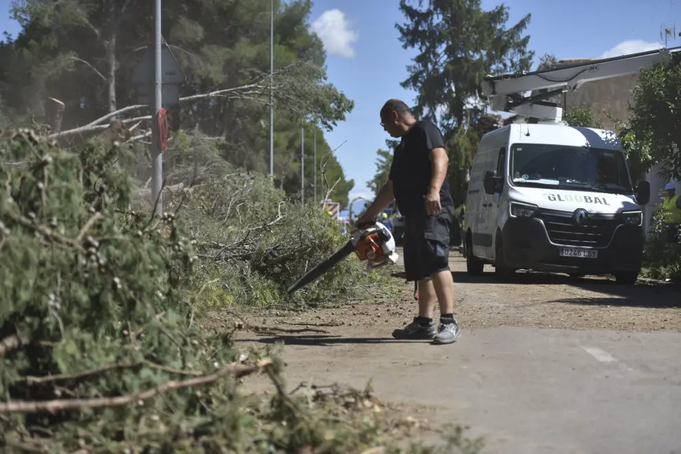 Labores de limpieza de los daños provocados por la tormenta en El Temple, que dejó vientos de más de 100 km/h, cientos de árboles caídos, cortes de luz, daños en viviendas y el cierre de la carretera.