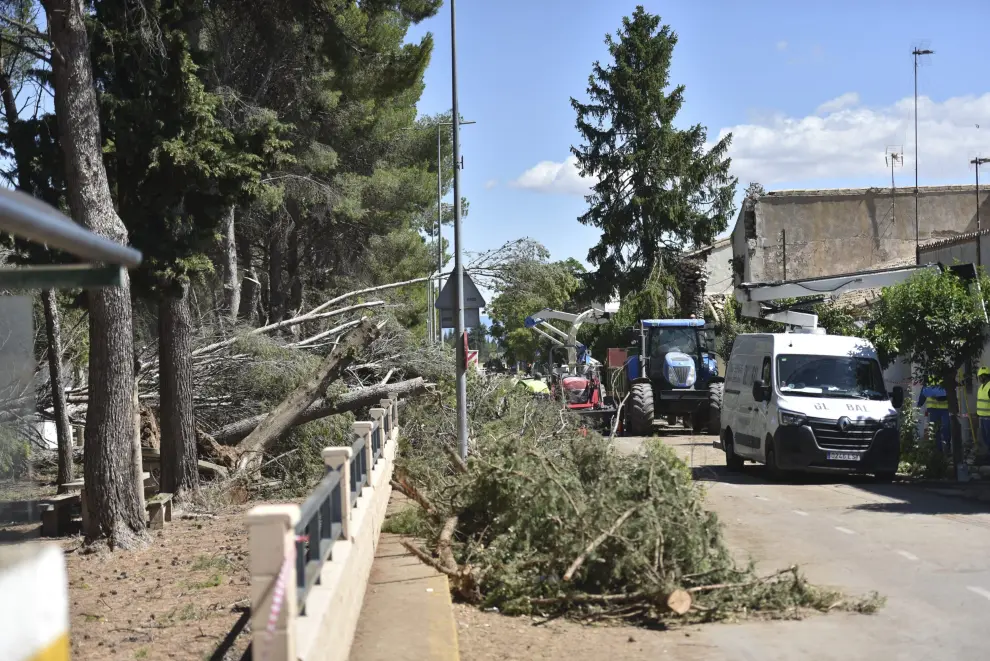 Labores de limpieza de los daños provocados por la tormenta en El Temple, que dejó vientos de más de 100 km/h, cientos de árboles caídos, cortes de luz, daños en viviendas y el cierre de la carretera.