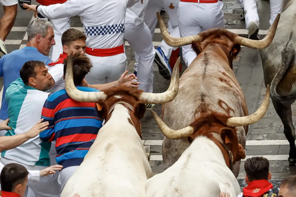 Séptimo encierro de San Fermin 2024 en Pamplona: toros de la ganadería José Escolar Gil