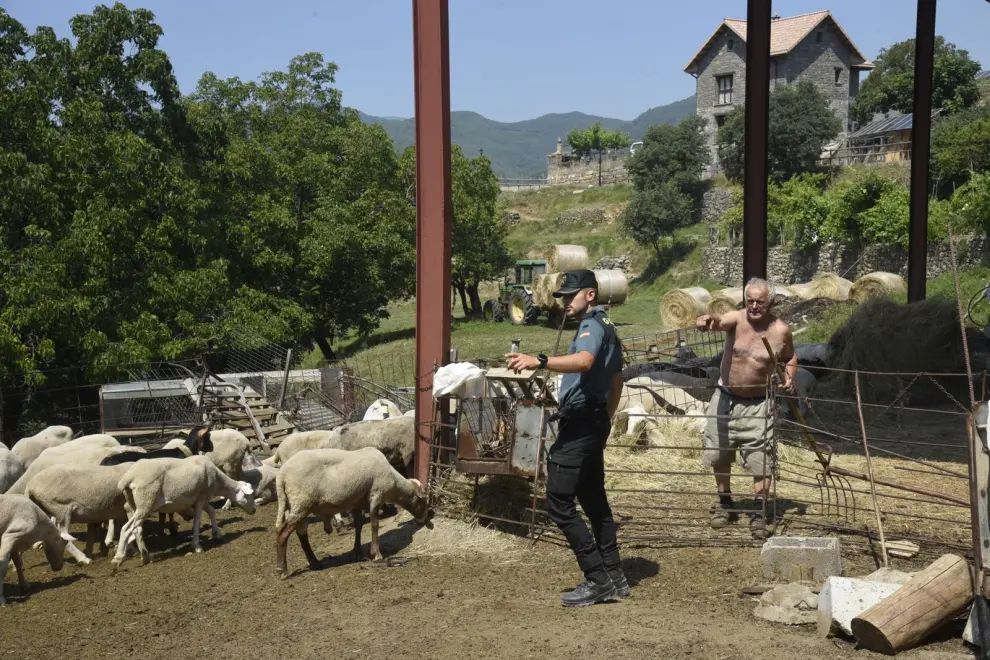 Vecinos evacuados por el incendio en El Pueyo de Araguás han regresado a sus casas con agentes de la Guardia Civil a recoger enseres y atender al ganado.