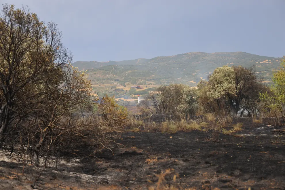 El fuego se ha activado a las 2.56 y por el momento se estima que la superficie afectada llega a las 207 hectáreas.