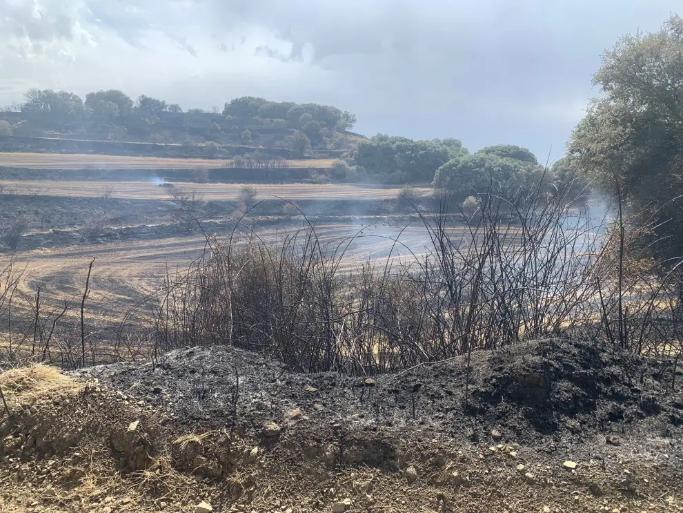 Fotos del incendio forestal en Luesia.