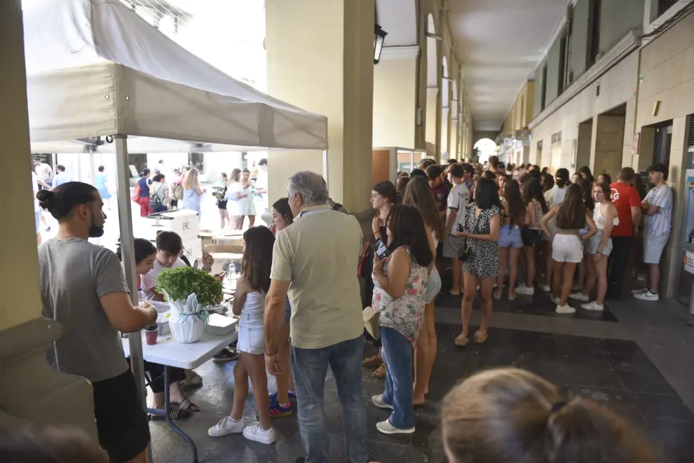 Campaña de socios de las peñas de Huesca para San Lorenzo.