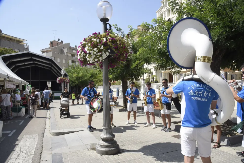 Fotos del 'Green Friday' en Huesca.