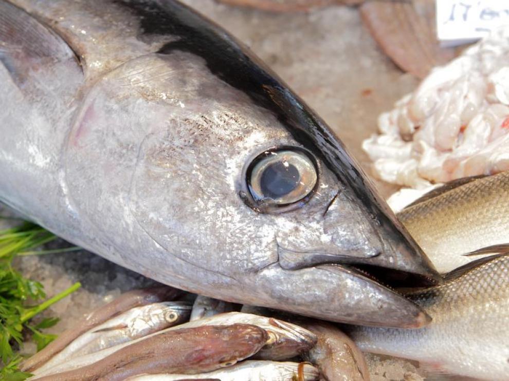 Bonito del norte en una pescadería de Zaragoza