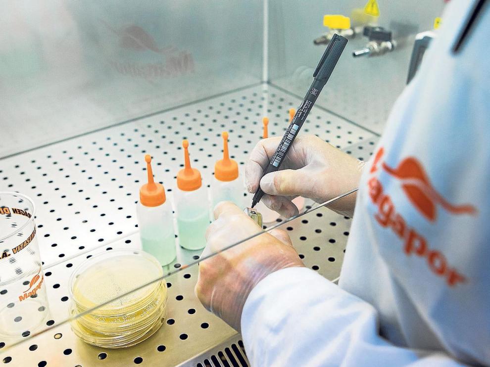 Laboratorio de la empresa Magapor.