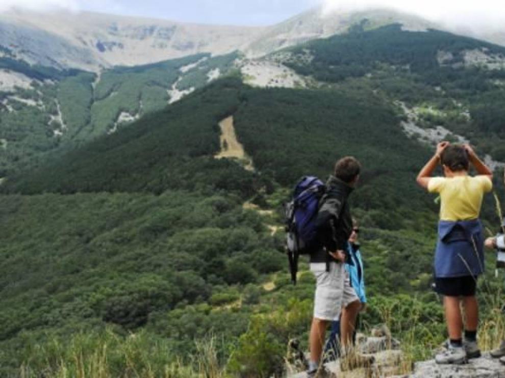 Parque Natural del Moncayo.