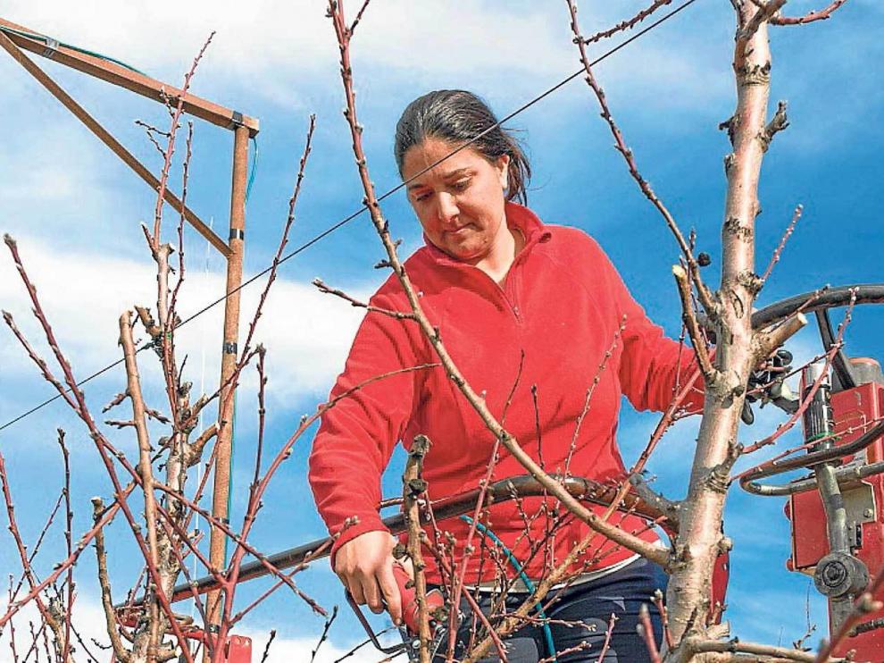 El Departamento de Desarrollo Rural ha puesto en marcha medidas en materia de igualdad. En la imagen, una mujer podando.