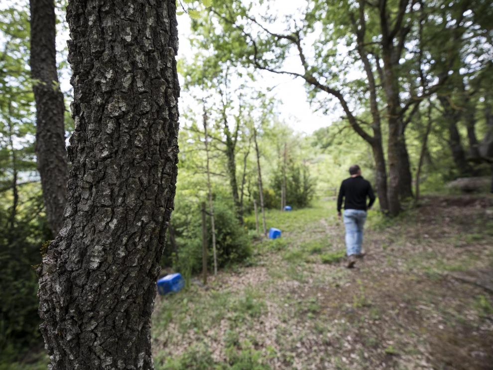 Bosque sagrado de los chaparros, donde realizan el rito de los herniados