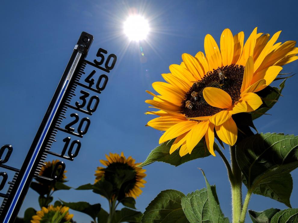 El aumento de las muertes por olas de calor se vería mitigado al limitar las emisiones de gases de efecto invernadero.