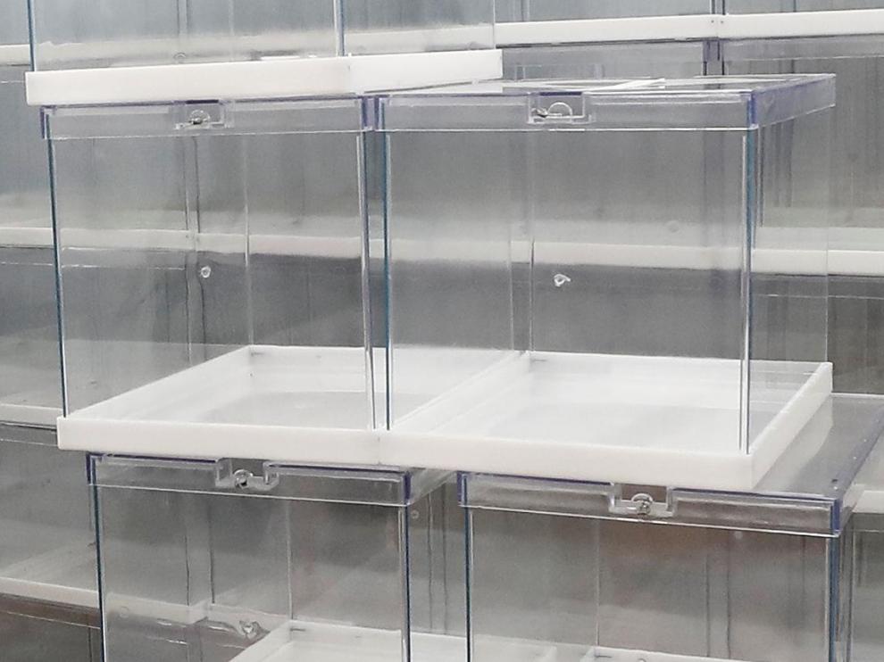 Los preparativos para la jornada electoral ya han comenzado.