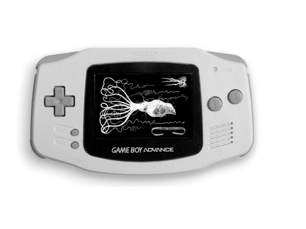 'Recollections of a somnambulist', una de las obras de la exposición de Game Boy en Etopia, realizada por Paul Catanese.