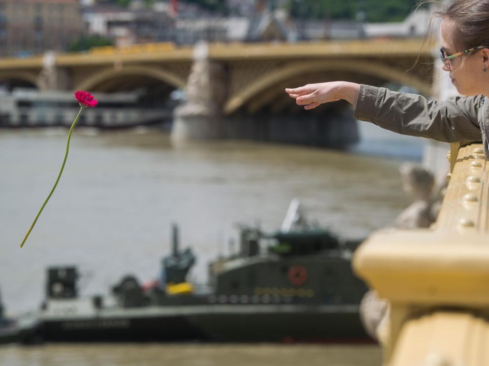 Una mujer arroja una flor al Danubio en memoria de las víctimas.