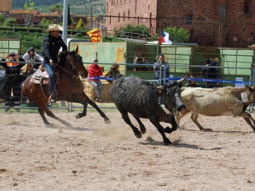Una de las pruebas ecuestres, disputadas en 2017.