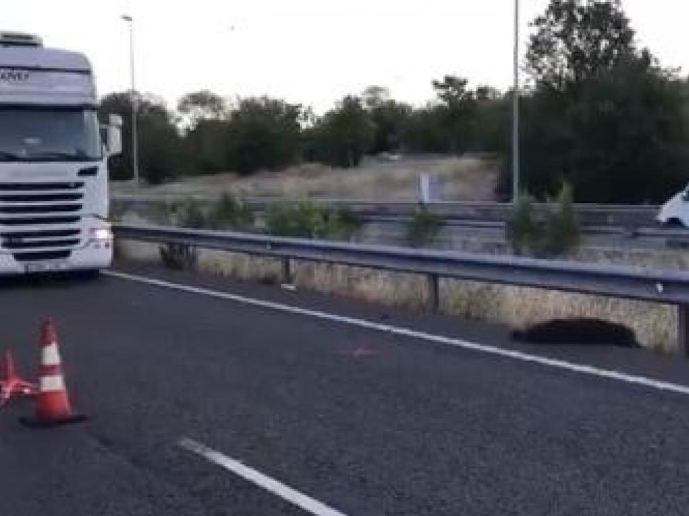 Un jabalí cruza la M-50 y provoca un accidente mortal.