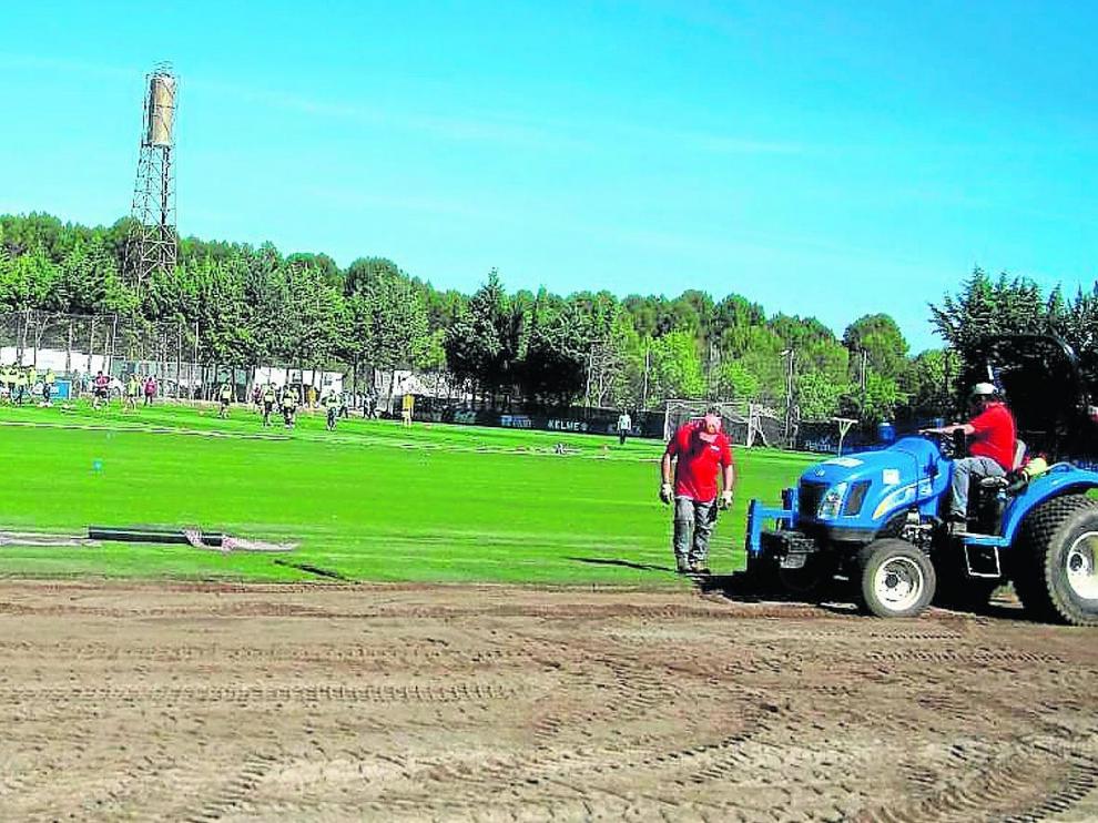Un tractor, trabajando en la adecuación de uno de los campos que se preparan en el IES Pirámide.