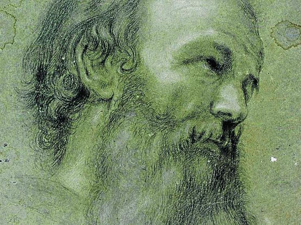 'Cabeza masculina' atribuida a Bayeu.