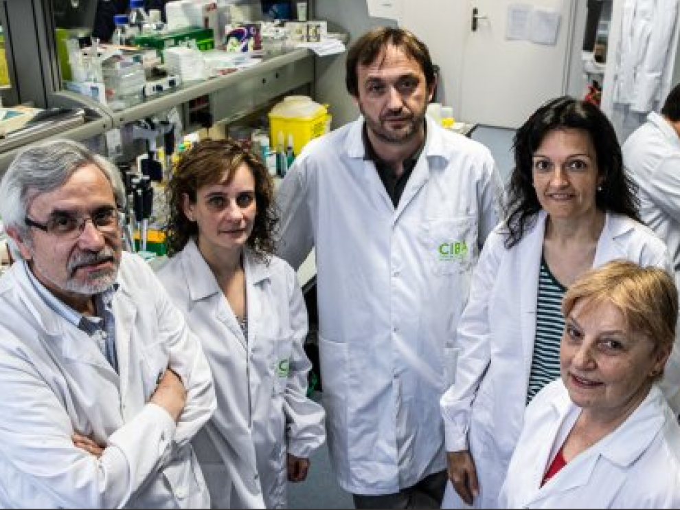 Los investigadores aragoneses han hallado un nuevo método