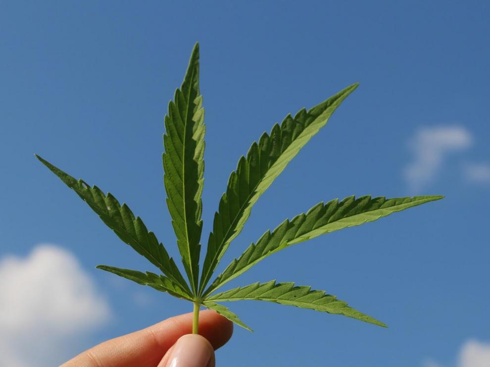 La marihuana podría ser una alternativa eficaz a los medicamentos contra el dolor y el insomnio.