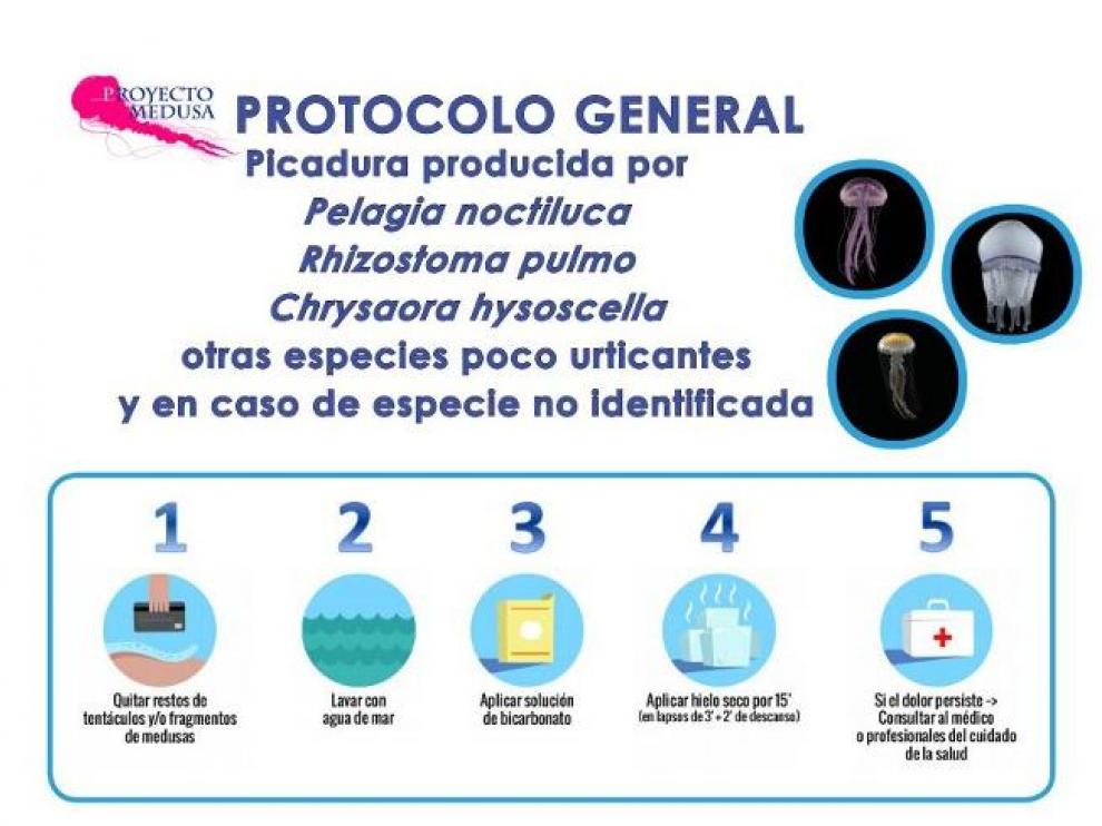 Recomendaciones de la guía del proyecto Medusa del CSIC