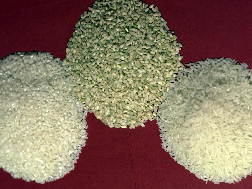 Diferentes tipos de Arroz / Revista Sabor / Foto: Javier Pardos / 06-05-03 GA_9592.JPG