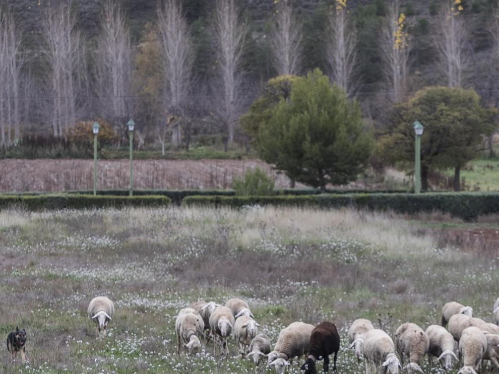 La serie 'Aragón, pueblo a pueblo' ha denunciado la despoblación.