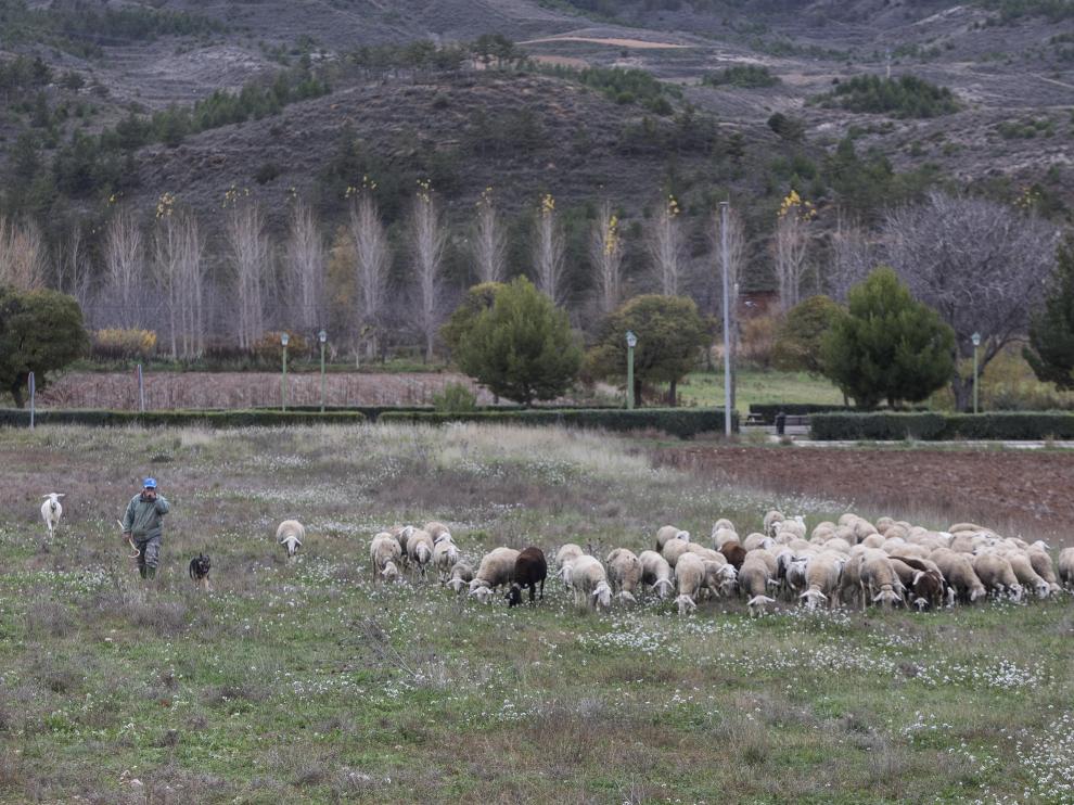 La serie 'Aragón, pueblo a pueblo' ha denunciado la despoblación.