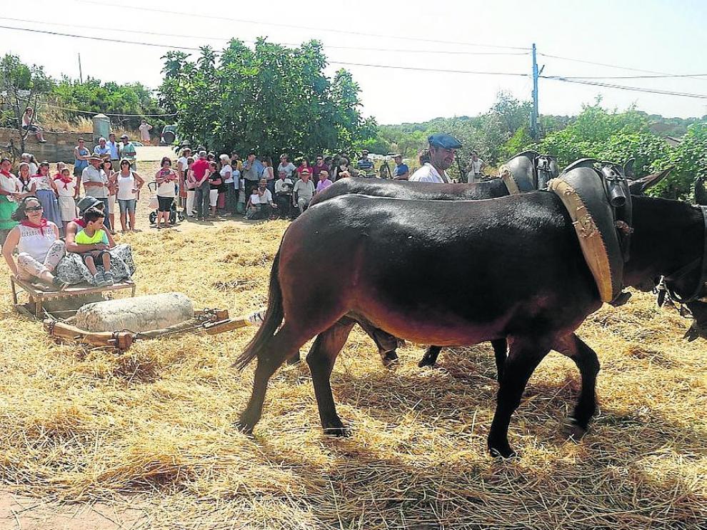 Dos mujeres y un niño pasean sentados sobre el trillo que tiran dos burras.