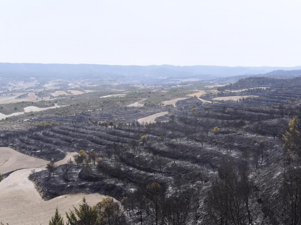 El incendio de la sierra de Alcubierre, entre Leciñena y Perdiguera, ha quemado 1.200 hectáreas